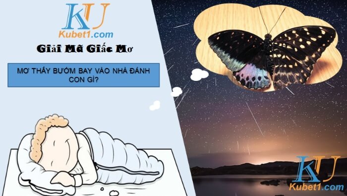 Bướm bay vào nhà đánh số gì để lên đời nhanh nhất?