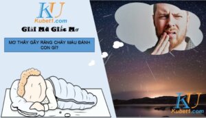 Đánh con gì lộc phát khi nằm mơ thấy gãy răng chảy máu?