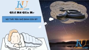 Giấc mộng thấy rắn nhỏ số mấy giúp người chơi lô đề hốt bạc?