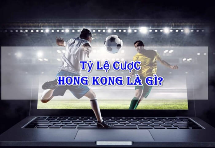 Tỷ lệ cược Hồng Kông là gì? Hướng dẫn đọc kèo chuẩn nhất