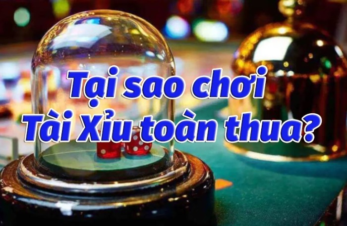 4 lý do giải mã tại sao chơi tài xỉu toàn thua